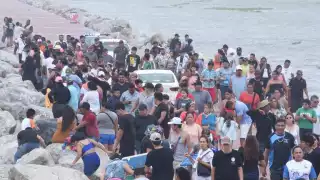 Desalojan a bañistas de Playa Miramar, Tamaulipas,  por presencia de cocodrilo  
