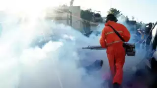 Claudia Sheinbaum destina más de 18 mdp para reforzar acciones contra el dengue en Campeche