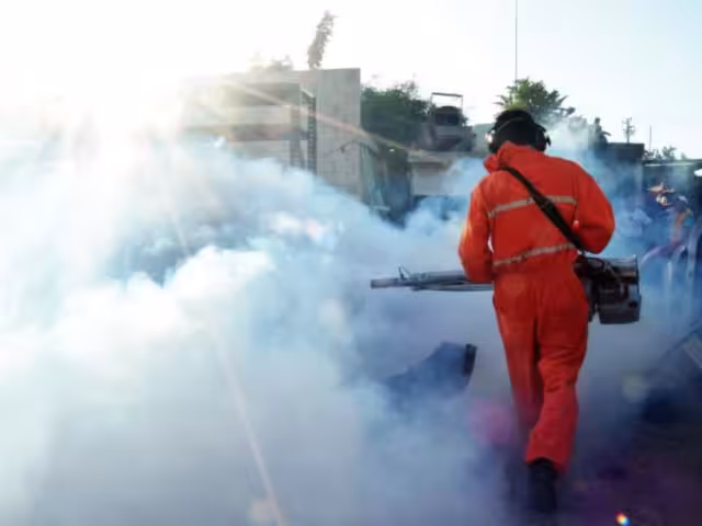 Para controlar el vector tienen que participar el gobierno, los municipios y la población