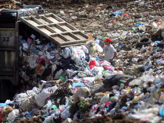 Aunque la SDS impulsa jornadas de limpieza en playas, cenotes y espacios públicos, la funcionaria fue clara: la responsabilidad principal recae en los ayuntamientos