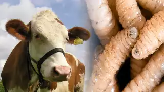 Piden tener precaución