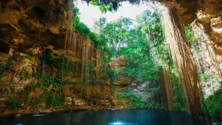Cenotes bonitos y baratos en la Riviera Maya:  Algunos no cobran la entrada, ¿cuáles son?   