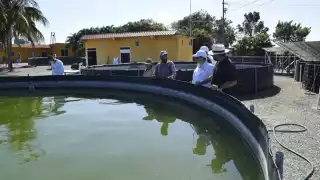 Pescadores de Carmen enfrentan abandono de proyectos y retrasos en apoyos de Pemex