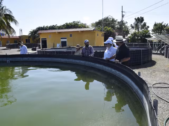 Actualmente 36 tinas de mojarras están desmanteladas y su funcionamiento requiere recursos que no pueden esperar.