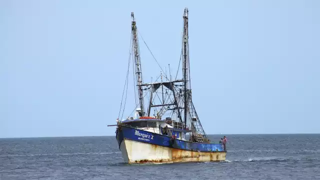 La pesca camaronera en Campeche enfrenta serios riesgos afectando el empleo de 600 pescadores y otros trabajadores