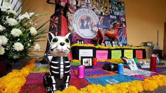 Por tradición del Día de Muertos, también existen ofrendas para las mascotas