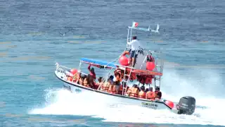 Destrucción de los arrecifes amenaza a corales y fauna marina de Quintana Roo
