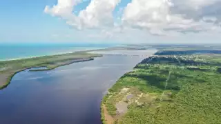 Más de 200 mil árboles de mangle serán plantados en Sabancuy como parte de un programa de reforestación