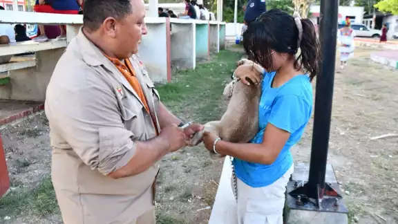 SSA refuerza vacunación y esterilización de mascotas para evitar brotes de rabia
