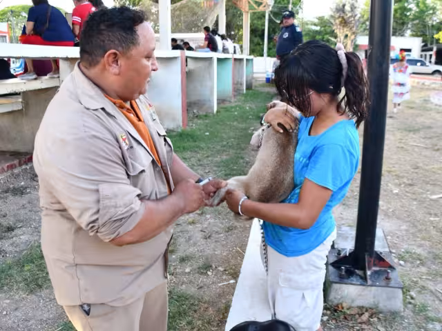 SSA refuerza vacunación y esterilización de mascotas para evitar brotes de rabia