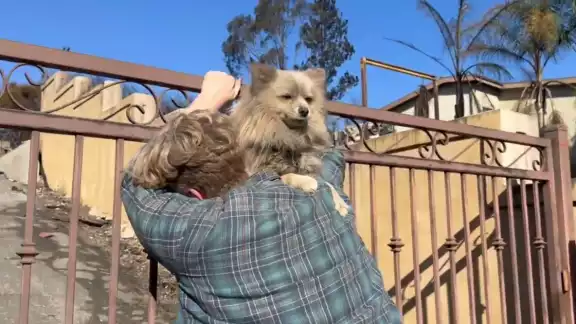 El emotivo reencuentro de Oreo con su dueño El emotivo reencuentro de Oreo con su dueño