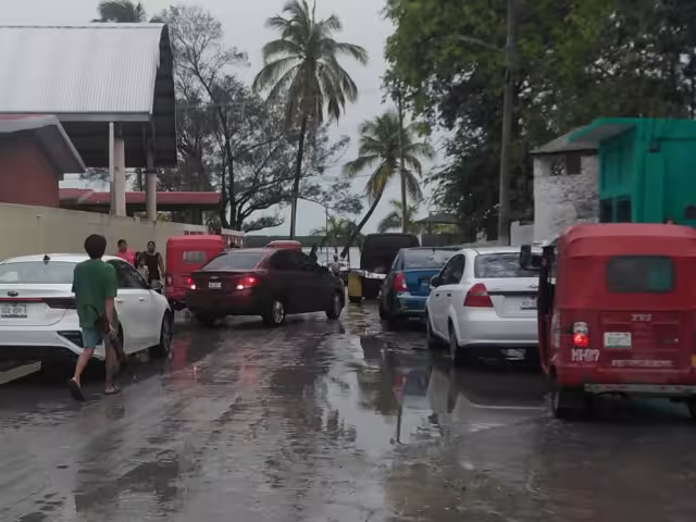 Se han limpiado los drenajes y cortado ramas de árboles