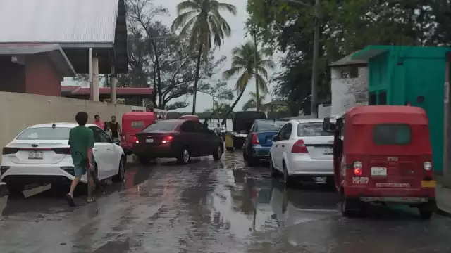 Se han limpiado los drenajes y cortado ramas de árboles