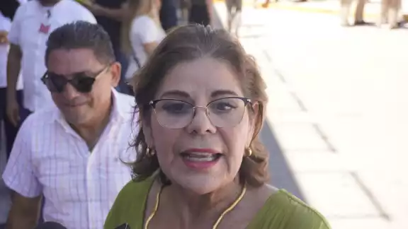Secretaría de Gobierno, Elisa Hernández Romero