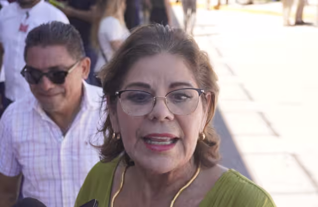 Secretaría de Gobierno, Elisa Hernández Romero