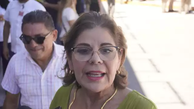 Secretaría de Gobierno, Elisa Hernández Romero