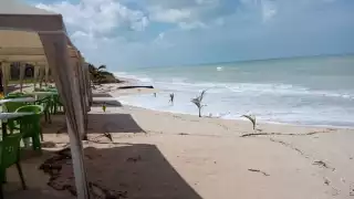 Cómo llegar a Playa Tortuga, un paraíso de aguas cristalinas en Campeche