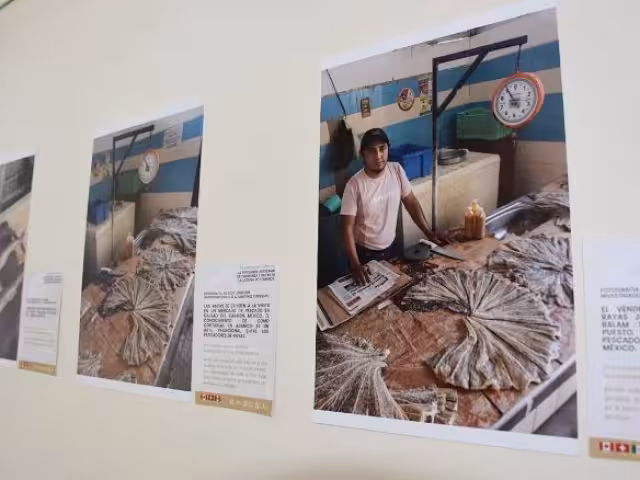 Exposición Pesca de Tiburón y Raya Artesanal