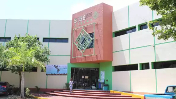 Desde hace años, Ecosur lleva lidiando con otros problemas interiores. Desde hace años, Ecosur lleva lidiando con otros problemas interiores.
