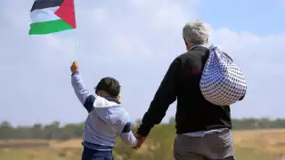 Israel reprende a embajadores europeos por reconocer a Palestina como Estado