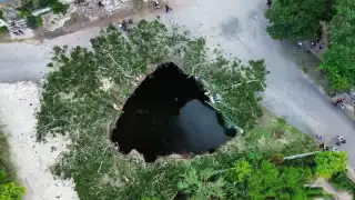 ¿El fin de los tiempos? La profecía maya que revivió tras la caída de una ceiba sagrada en Yucatán  