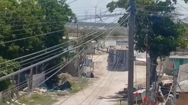 Se ha captado en video camiones llenos de escombro con dirección a la zona de manglares