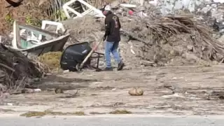 Empresa sargacera hace fraude y no cumple normas ambientales en Chetumal