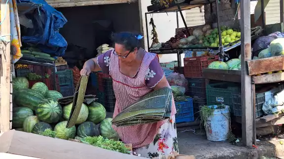 La actividad económica esta temporada se concentra en los servicios turísticos