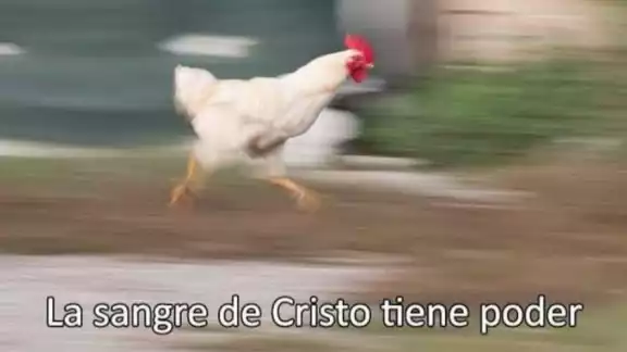 Redes sociales crearon memes del sismo de hoy en Oaxaca Redes sociales crearon memes del sismo de hoy en Oaxaca