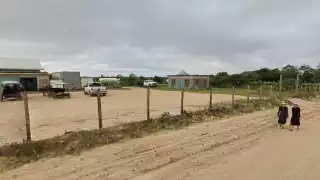 Más de 12 mil hectáreas en Quintana Roo se deforestan al año; señalan falta de medidas de mitigación