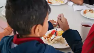 Desnutrición aumenta 78 % en Campeche: alertan por falta de información y pobreza   