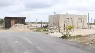   Persiste la venta ilegal de terrenos en la ciénega de Chicxulub Puerto, dañando el ecosistema  