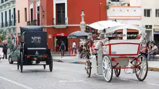 Implementarán plan en Mérida para reducir las horas de trabajo de los caballos que tiran de calesas   