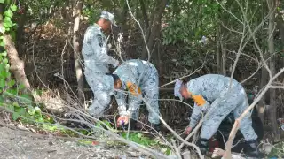 Marina y Ejército Mexicano limpian costa de Campeche: Recolectan toneladas de basura
