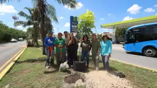 Siembran los primeros 10 árboles con tecnología Air-Pot en Mérida 