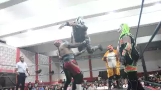 Convierte en un cochinero la Arena Colonos, la “Puerquiza"