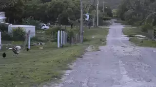 Cancelan bloqueo carretero en zona limítrofe de Quintana Roo