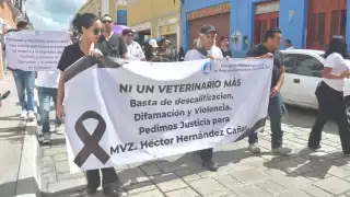 Veterinarios de Campeche marchan exigiendo justicia por colega asesinado en Edomex
