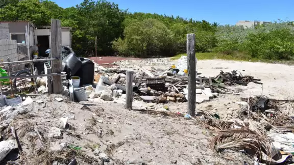 Vecinos piden la atención de las autoridades por la destrucción del manglar Vecinos piden la atención de las autoridades por la destrucción del manglar