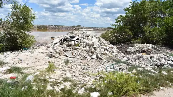Este tipo de actividades se une a las múltiples acciones de tala, destrucción y relleno de los espacios de ciénega al Sur de Progreso Este tipo de actividades se une a las múltiples acciones de tala, destrucción y relleno de los espacios de ciénega al Sur de Progreso