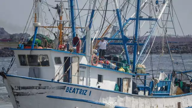 Campeche arranca temporada de camarón con menos barcos en altamar
