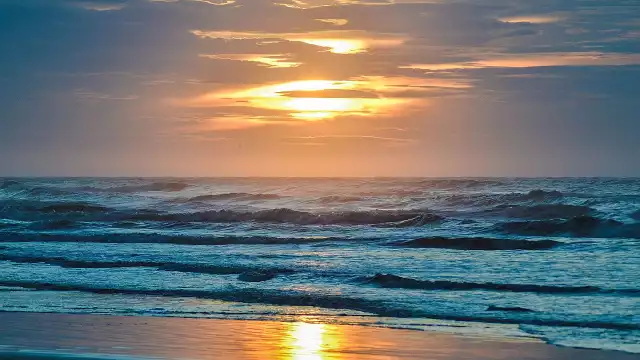 Producción del fentanilo termina contaminando la vida oceánica.