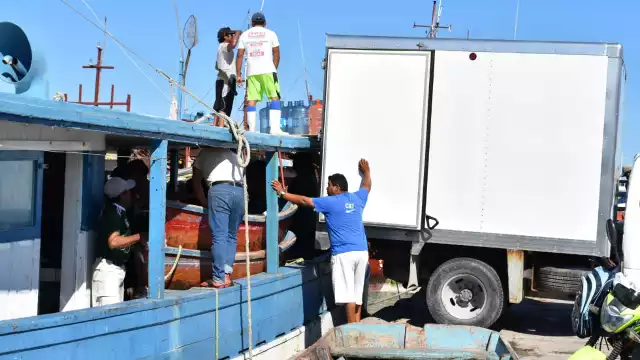 Barcos pesqueros de Progreso zarpan a su último viaje del año en búsqueda de pulpo ante el cierre de temporada el próximo 15 de diciembre