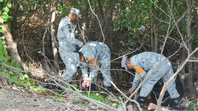 Marina y CCE limpian un kilómetro de costa en Campeche; toneladas de basura retiradas