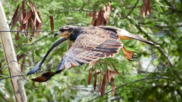 La mayor parte de los registros en Mérida se concentran en un solo punto de la ciudad