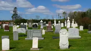 Estas son las principales causas de muerte de los mexicanos, según el INEGI