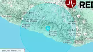 Sismo y microsismo hoy 12 de noviembre; dónde se sintieron y de qué intensidad fueron