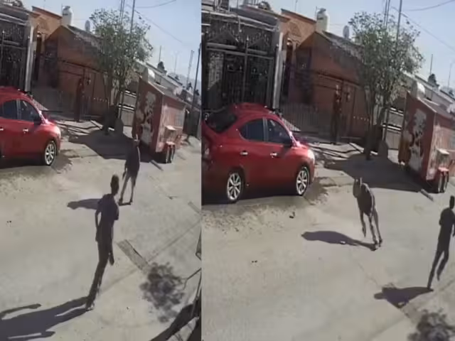 Hombre de la tercera edad fue agredido por una personas en situación de calle, quien enfrenta cargos  en Chihuahua