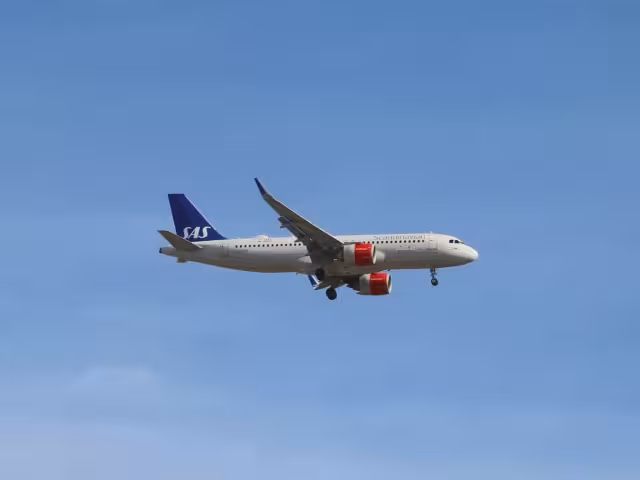 Una rata se subió a un avión de polizonte y lo obligó a aterrizar de emergencia