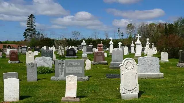 Estas son las principales causas de muerte de los mexicanos, según el INEGI